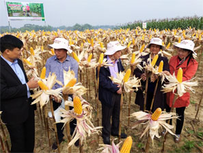 Đảng - Đoàn thể 5