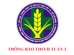Tình hình PG99 trang chủ đăng nhập hại cây trồng đến ngày 14/01/2020
